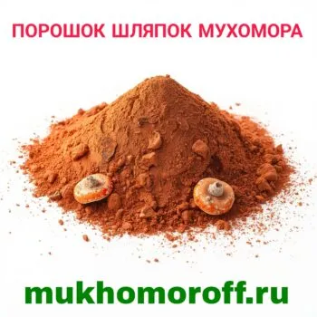 Порошок шляпок мухомора