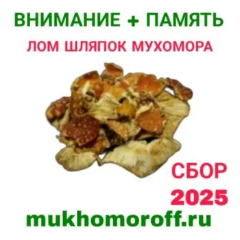 Лом шляпок мухомора