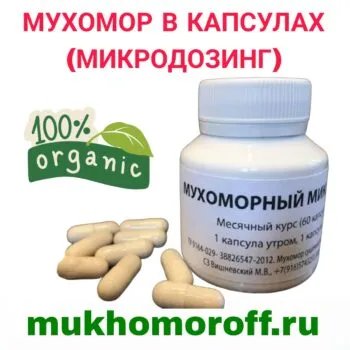 Мухомор в капсулах (микродозинг)