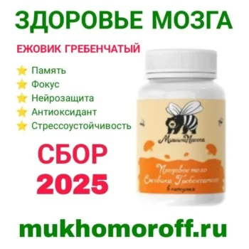 Ежовик гребенчатый в капсулах, 120 капсул