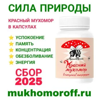 Красный мухомор в капсулах (микродозинг)