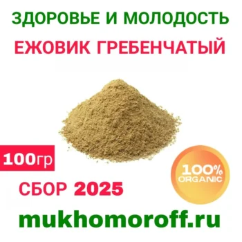 Ежовик гребенчатый плодовые тела (молотые) 100 г