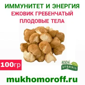Ежовик гребенчатый плодовые тела (целые) 100 г