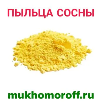 Пыльца сосны