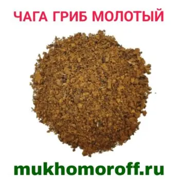Чага гриб молотый