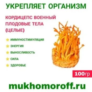 Кордицепс военный плодовые тела (целые) 100 г