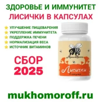 Лисички сушеные молотые в капсулах